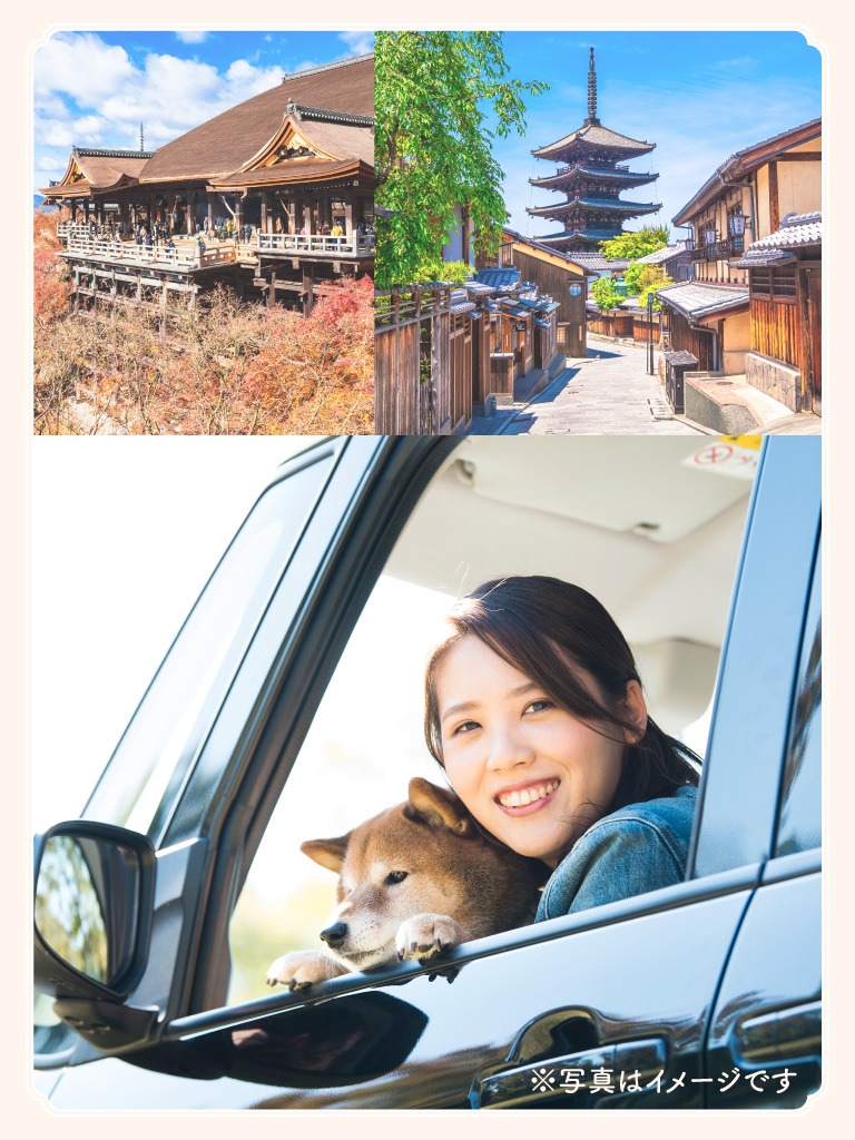 ペットタクシー レオン トップ 京都市中京区で当日予約可能なペットタクシーサービス 送迎サービスや貸切観光も可能